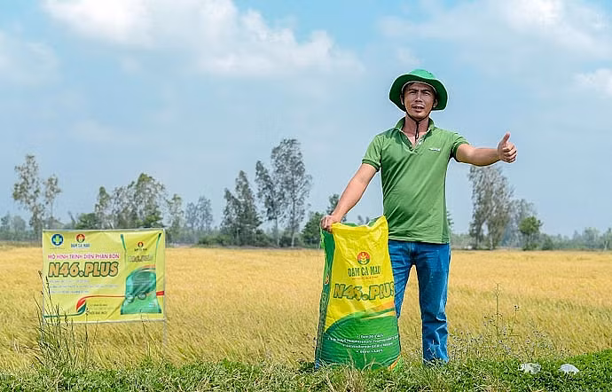 Anh Nguyễn Trung Sĩ bên ruộng lúa đạt năng suất cao khi bón đạm xanh Đạm Cà Mau.