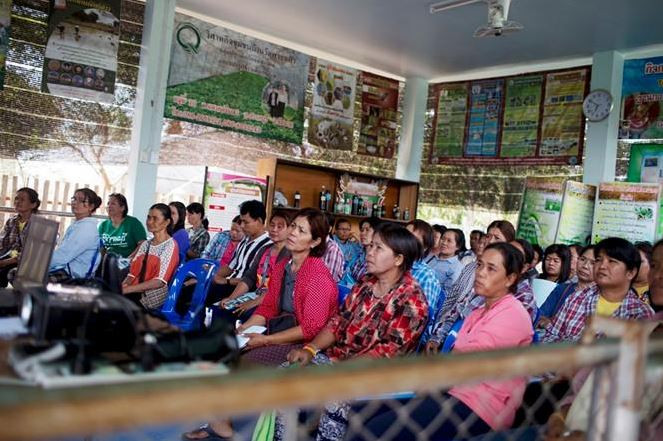 Nông dân Thái Lan học kỹ thuật “nông nghiệp mới”. Ảnh: Bloomberg.
