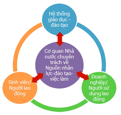 Đào tạo nguồn nhân lực chất lượng cao đang là bài toán khó của Việt Nam.