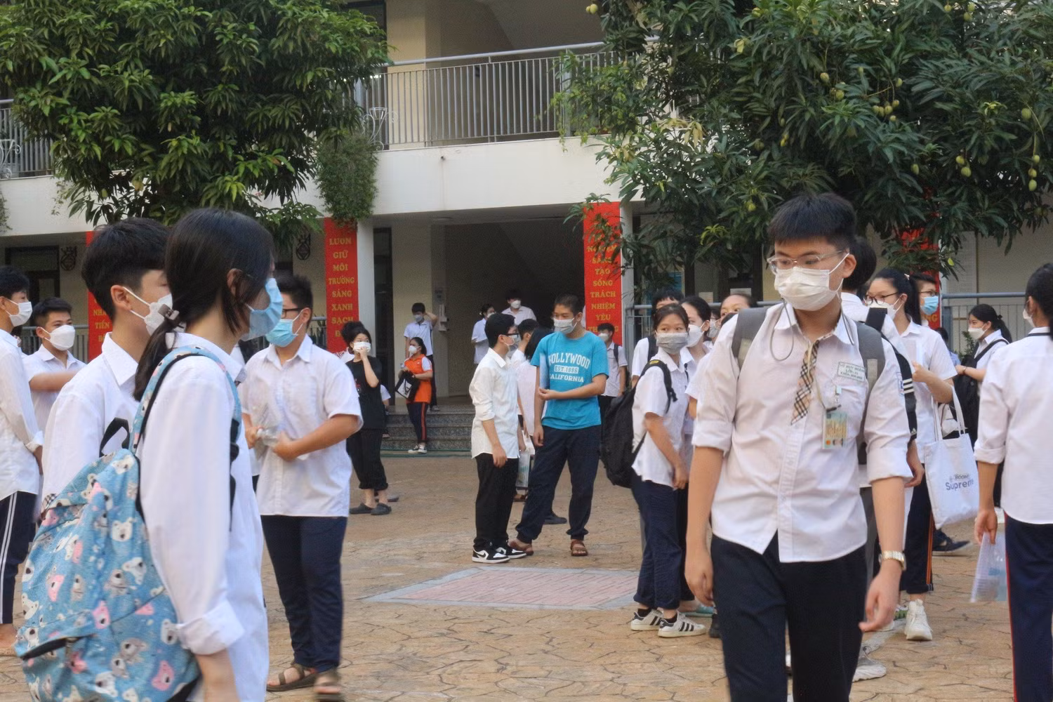 Ảnh minh họa. Ảnh: T.L