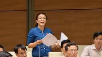 Củi lớn, củi bé vào lò, nhưng tài sản tham nhũng đi đâu? ảnh 4