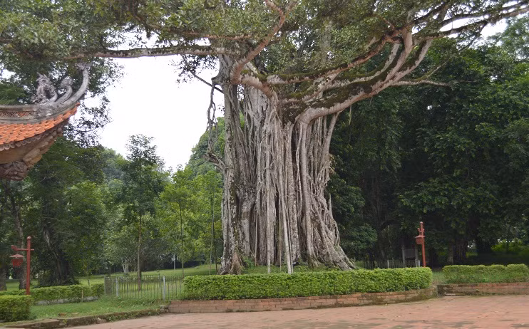 Những tích chuyện huyền bí ở khu di tích Lam Kinh ảnh 2 Những tích chuyện huyền bí ở khu di tích Lam Kinh ảnh 2