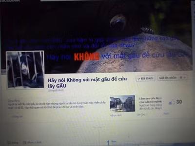 Face Book này lập ra với mong muốn cùng mọi người chung tay bảo vệ đàn gấu Face Book này lập ra với mong muốn cùng mọi người chung tay bảo vệ đàn gấu