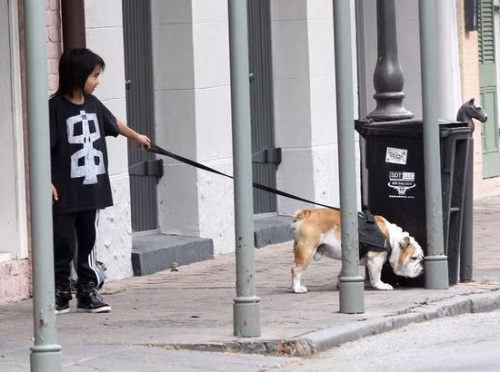 Maddox có khuôn mặt rất hiền, xinh trai và tạo được nhiều thiện cảm với báo giới Maddox có khuôn mặt rất hiền, xinh trai và tạo được nhiều thiện cảm với báo giới