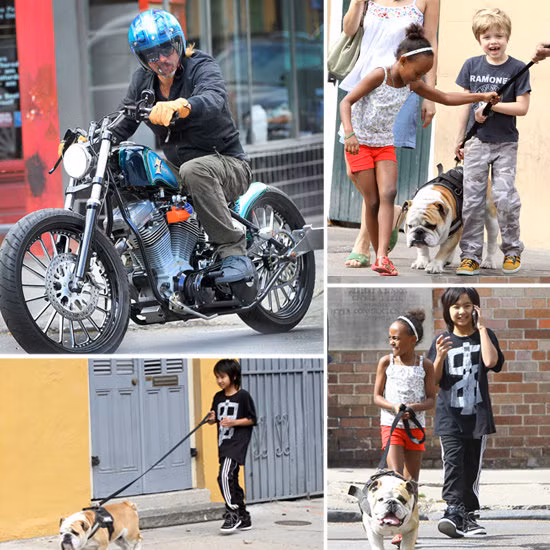 Trong khi nam diễn viên 48 tuổi Brad Pitt đang chạy một chiếc motor phân khối lớn trên đường phố New Orleans thì các con của anh và người tình: cậu cả Maddox, Zahara và Shiloh cũng đang đi dạo trên phố cùng chú cho bull Jacques. Trong khi nam diễn viên 48 tuổi Brad Pitt đang chạy một chiếc motor phân khối lớn trên đường phố New Orleans thì các con của anh và người tình: cậu cả Maddox, Zahara và Shiloh cũng đang đi dạo trên phố cùng chú cho bull Jacques.