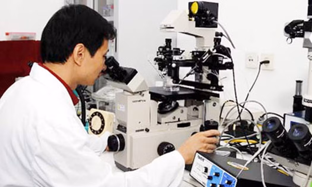 Ảnh minh họa: TTXVN Ảnh minh họa: TTXVN