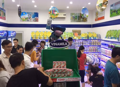 "Dư luận tiêu cực ở Hải Quan có từ lâu, lãnh đạo ngành không thể vô can" ảnh 2