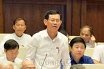 Đại biểu Quốc hội Nguyễn Ngọc Phương ủng hộ thành lập 3 đặc khu vì sẽ tạo ra sự bứt phá cho kinh tế đất nước. ảnh: Trung tâm thông tin quốc hội.