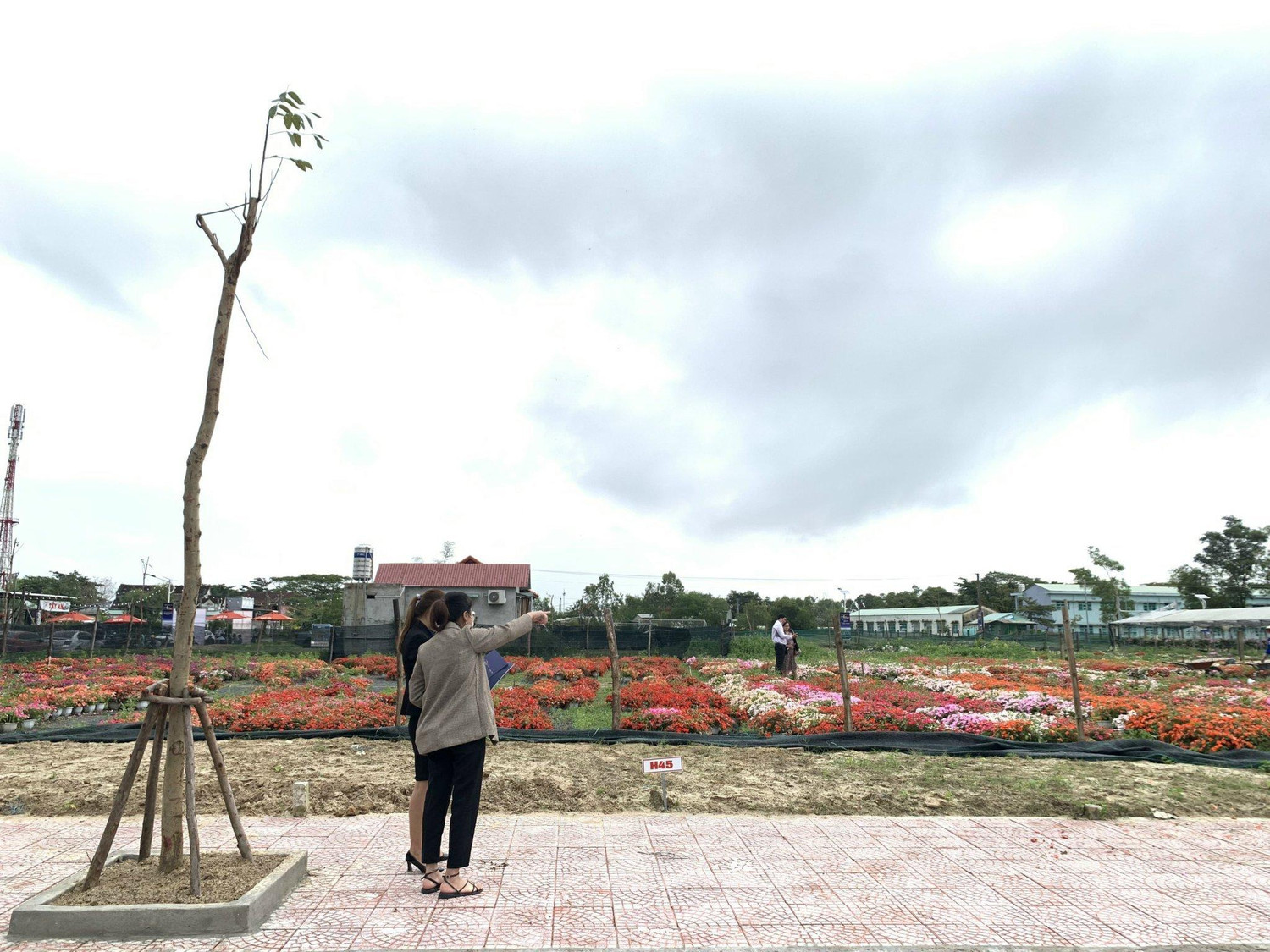 Khách hàng đi xem sản phẩm đất nền tại Cụm công nghiệp Tây An. Ảnh: GH Khách hàng đi xem sản phẩm đất nền tại Cụm công nghiệp Tây An. Ảnh: GH