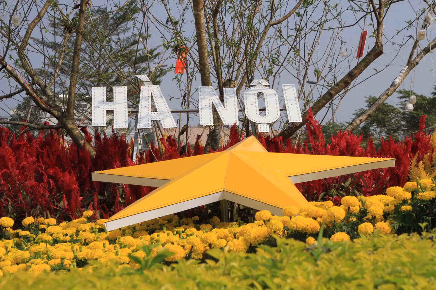 Theo thông tin từ Tổ chức kỷ lục Việt Nam, “Bản đồ Việt Nam bằng hoa lớn nhất” là 1 trong 6 kỷ lục được thực hiện trên toàn quốc nhằm chào đón năm mới Ất Mùi 2015.