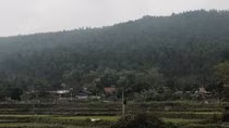 Cánh rừng phòng hộ bạt ngàn ở xã Bồ Lý sắp bị thay thế bằng nghĩa trang có quy mô hơn 2 triệu bộ hài cốt.