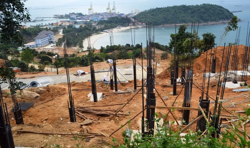 Sơn Trà bị "băm nát", các chuyên gia rốt ráo tìm thủ phạm ảnh 2