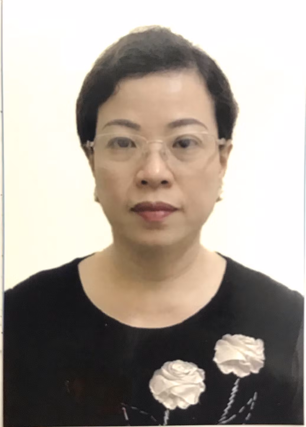 Bị can Diệp Thị Hồng Liên. Ảnh: Bộ Công an.