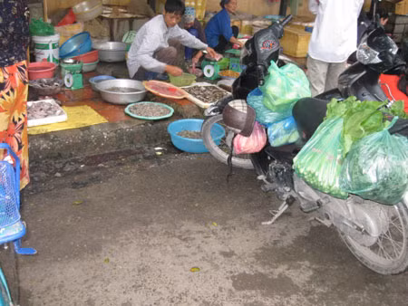 Đi chợ đầu mối, mua cá chết, thịt ôi làm cơm sinh viên ảnh 2