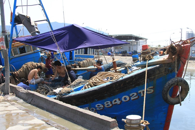 Mặc dù trời Đà Nẵng nắng gắt gao từ sớm, nhưng không khí chuẩn bị tiến ra biển Hoàng Sa đánh bắt hải sản của nhiều tàu thuyền ngư dân miền Trung tại Âu thuyền Thọ Quang "nóng" hơn.