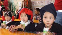 Hà Nội nên thận trọng, tránh làm biến tướng chương trình sữa học đường ảnh 2