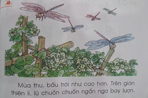 Có cần thiết có những câu văn vẻ và quá dài cho trẻ ngay trong học kỳ đầu của lớp 1?