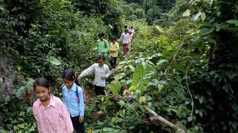 Không phải người bản địa rất dễ bị lạc trong khu rừng rậm rạp hàng ngày các em vẫn phải băng qua để đến trường. Không phải người bản địa rất dễ bị lạc trong khu rừng rậm rạp hàng ngày các em vẫn phải băng qua để đến trường.