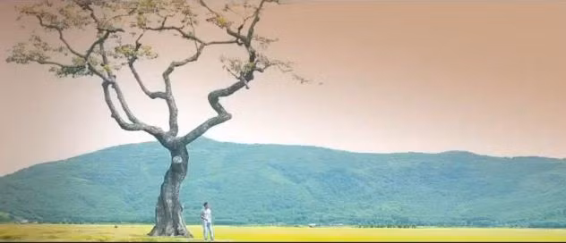 "Hai chữ Thanh Hóa nghe sao thật thiết tha. Nơi mà....những cánh cò bay lả, những ruộng đồng bao la những biển khơi đầy tôm cá".