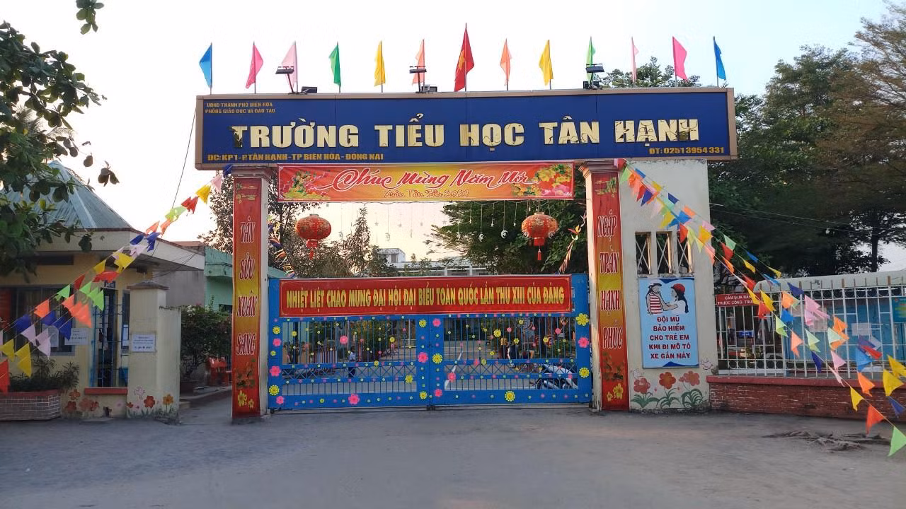 Trường Tiểu học Tân Hạnh (phường Tân Hạnh, thành phố Biên Hòa, tỉnh Đồng Nai). Ảnh: Hữu Đức