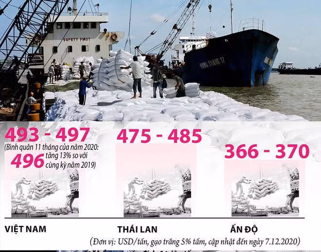 Xuất khẩu gạo năm 2020 trở thành một điểm sáng. Ảnh: Huỳnh Thanh Phong. (Đồ họa: Đồng Xuân Du) Xuất khẩu gạo năm 2020 trở thành một điểm sáng. Ảnh: Huỳnh Thanh Phong. (Đồ họa: Đồng Xuân Du)