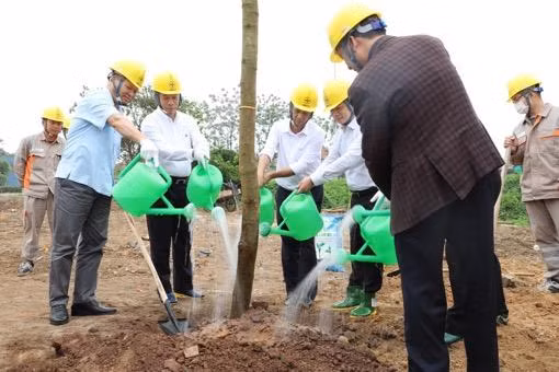 Ông Thiều Kim Quỳnh và các đại biểu tham dự trồng cây tại huyện Bình Xuyên, tỉnh Vĩnh Phúc Ông Thiều Kim Quỳnh và các đại biểu tham dự trồng cây tại huyện Bình Xuyên, tỉnh Vĩnh Phúc