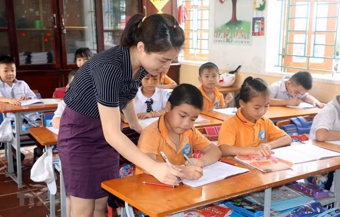 (Ảnh: Nguyễn Lành/TTXVN) (Ảnh: Nguyễn Lành/TTXVN)