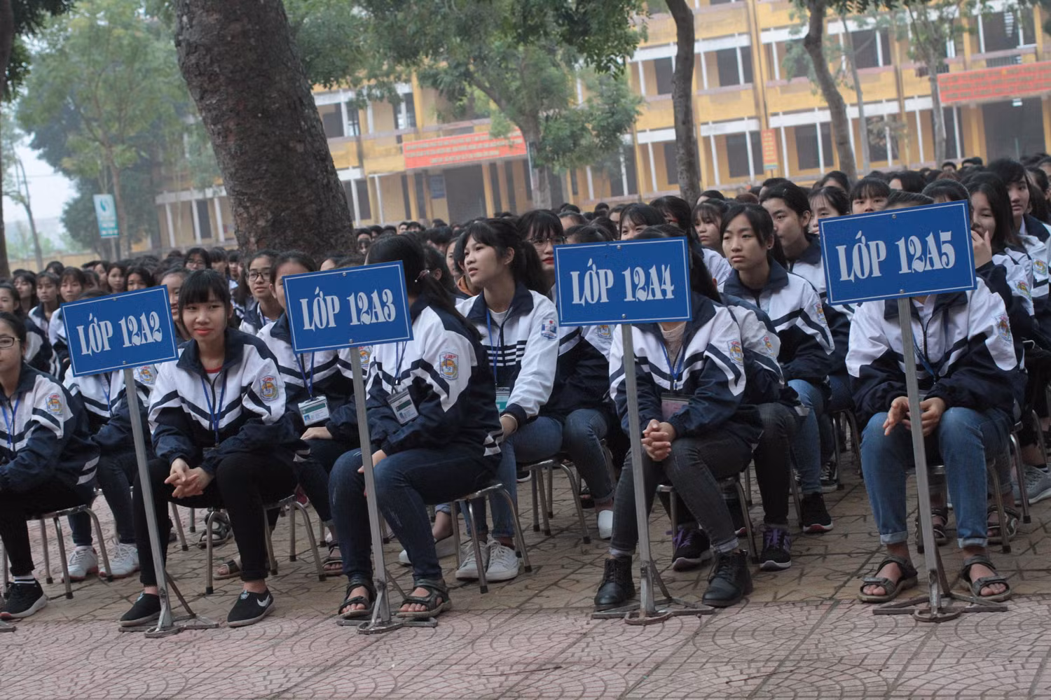 Ảnh minh họa: Thùy Linh