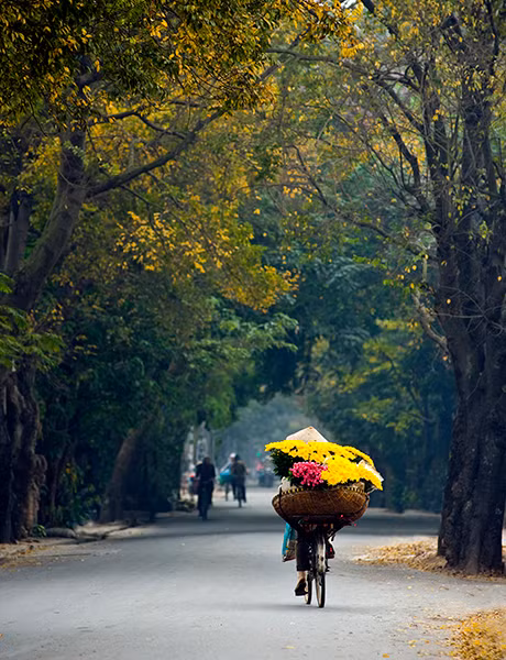 Một người bán hoa trên con đường Yên Phụ
