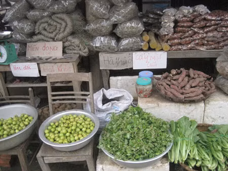 Không chỉ được chiêm ngưỡng các suối cá, du khách còn có thể mua những sản vật dân dã của địa phương được người dân bày bán. Không chỉ được chiêm ngưỡng các suối cá, du khách còn có thể mua những sản vật dân dã của địa phương được người dân bày bán.