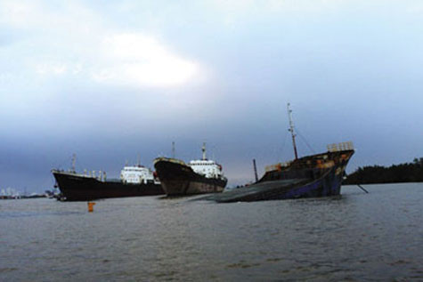 Chiều 10.2, trên sông Đồng Nai (đoạn giáp ranh xã Phú Hữu, H.Nhơn Trạch, tỉnh Đồng Nai và xã Phú Xuân, H.Nhà Bè, TP.HCM) đã xảy ra vụ tai nạn giao thông đường thủy nghiêm trọng giữa 3 tàu thủy, làm 12 người bị chìm dưới nước, 8.000 lít dầu tràn ra sông Đồng Nai.