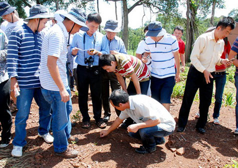 Bầu Đức trực tiếp đi và hướng dẫn các nhà đầu tư trong và ngoài nước thăm thực tế mỏ sắt tại Campuchia