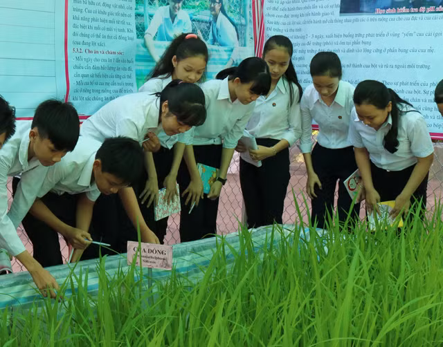 Dự kiến, học sinh cấp trung học Đồng Tháp sẽ học tập tài liệu giáo dục địa phương, trong đó có các hoạt động trải nghiệm thực tế (ảnh minh họa: Báo Đồng Tháp) Dự kiến, học sinh cấp trung học Đồng Tháp sẽ học tập tài liệu giáo dục địa phương, trong đó có các hoạt động trải nghiệm thực tế (ảnh minh họa: Báo Đồng Tháp)