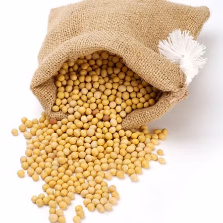 Đậu nành: Dùng 150g đậu nành, 1 lít nước, đun với lửa nhỏ trong 20 phút, để nước đủ ấm dùng ngâm chân. Cách này trị mùi hôi chân rất hiệu quả, lại giúp bảo vệ da chân. Thông thường ngâm rửa liên tục 3-4 ngày sẽ thấy công hiệu. (Ảnh: ITN) Xem thêm: Ăn uống làm sao để trẻ - khỏe và sống lâu? Đậu nành: Dùng 150g đậu nành, 1 lít nước, đun với lửa nhỏ trong 20 phút, để nước đủ ấm dùng ngâm chân. Cách này trị mùi hôi chân rất hiệu quả, lại giúp bảo vệ da chân. Thông thường ngâm rửa liên tục 3-4 ngày sẽ thấy công hiệu. (Ảnh: ITN) Xem thêm: Ăn uống làm sao để trẻ - khỏe và sống lâu?