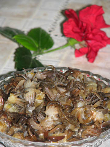 Chữa sốt sau khi đẻ: Mai cua 100g cho vào nồi đất, đậy kín, đốt lửa bên ngoài sau 60 phút, lấy mai cua tán bột mịn, ngày uống 3 lần, mỗi lần 9g với 150ml nước sôi pha với một nửa lượng rượu như thế, chia làm 2 lần uống trong ngày.(Ảnh: In) Xem thêm: Cảm kích: Cùng ăn, cùng ở với dân vùng có bệnh viêm da lạ