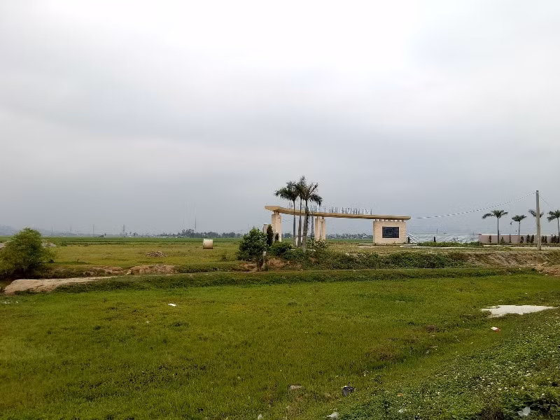 Từ khi khởi công dự án Khu công nghiệp FLC Hoàng Long cho đến nay, dự án vẫn chưa được thi công, đất đai bò hoang, cỏ mọc um tùm (ảnh HC)