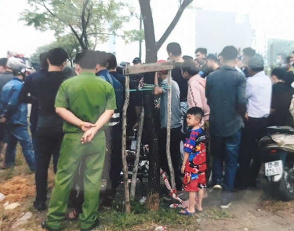 Khu đất của gia đình ông Trần Văn Vân.