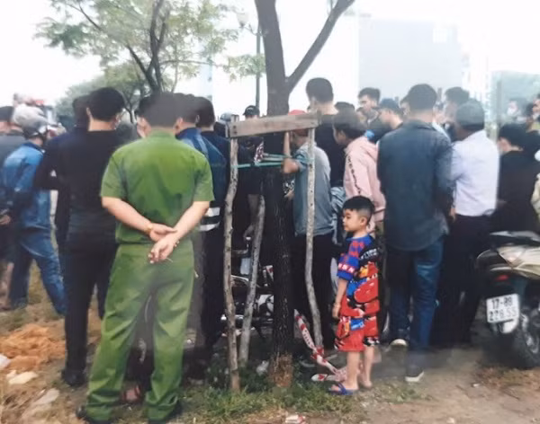 Khu đất của gia đình ông Trần Văn Vân.