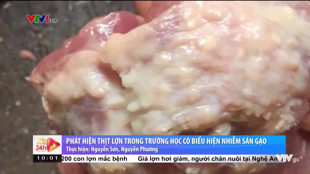 Thịt lợn nhiễm sán gạo đã tuồn vào trong trường học . (Ảnh: VTV)