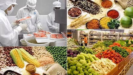 Chính công tác thanh tra, kiểm tra được đẩy mạnh, giúp ngăn chặn, xử lý nhiều vụ vi phạm về an toàn thực phẩm góp phần thúc đẩy xuất khẩu thực phẩm, thúc đẩy sản xuất thực phẩm an toàn trong nước - ảnh nguồn Cục An toàn thực phẩm.