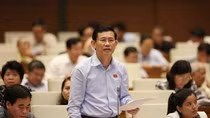 Sáp nhập Sở tự phát như trăm hoa đua nở sẽ phá vỡ tính hệ thống, thông suốt ảnh 2 Sáp nhập Sở tự phát như trăm hoa đua nở sẽ phá vỡ tính hệ thống, thông suốt ảnh 2