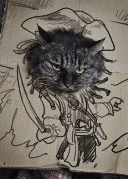 Cướp biển nổi tiếng Cat Sparrow chứ không phải Jack Sparrow