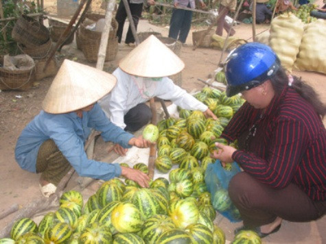 Thông tin về việc chồng giết vợ con sau khi ăn dưa bở chỉ là "tin vịt" Thông tin về việc chồng giết vợ con sau khi ăn dưa bở chỉ là "tin vịt"