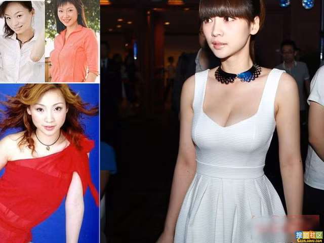 Liễu Nham.