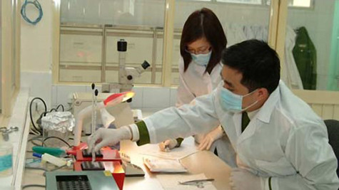 Xét nghiệm ADN đã cho thấy sự không chính xác của việc áp vong tìm mộ