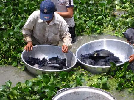 Hom nay xu vu Chu tich tinh bi kien vi ba ba