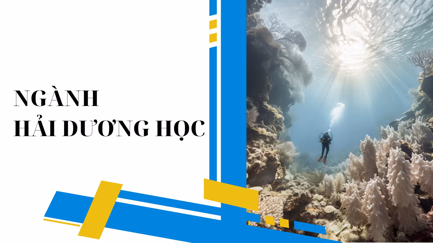 hai-duong-hoc-1448.png