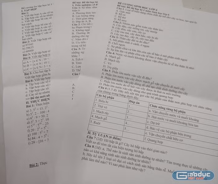 gdvn-de-cuong-369.jpg