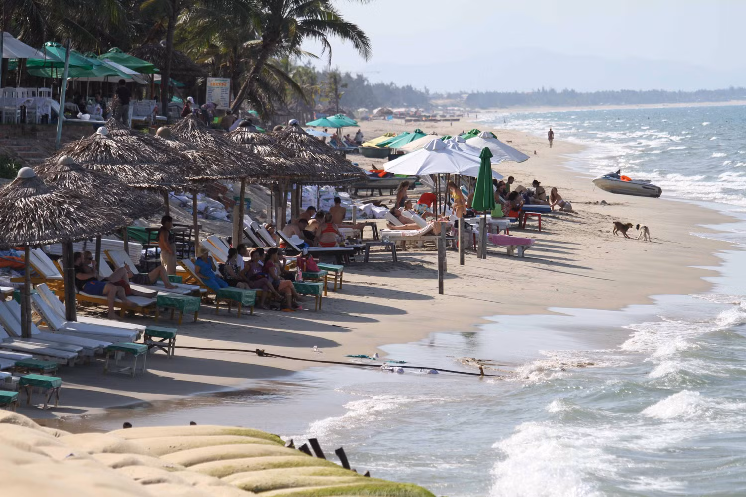Du khách khi đến với Hội An, ngoài khám phá nét cổ kính ở thành phố này, thì biển là nơi để họ thư giãn...Nếu bờ biển Cửa Đại không được khắc phục, tìm lại vẻ đẹp quyến rũ như ngày xưa thì "bãi biển đẹp nhất miền Trung" này cũng chỉ là hoài niệm...