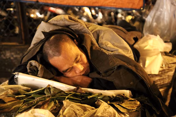 Tranh thủ ngủ ngay trên những sọt ổi, đắp lên mình đủ thứ áo khoác, áo mưa. Tranh thủ ngủ ngay trên những sọt ổi, đắp lên mình đủ thứ áo khoác, áo mưa.